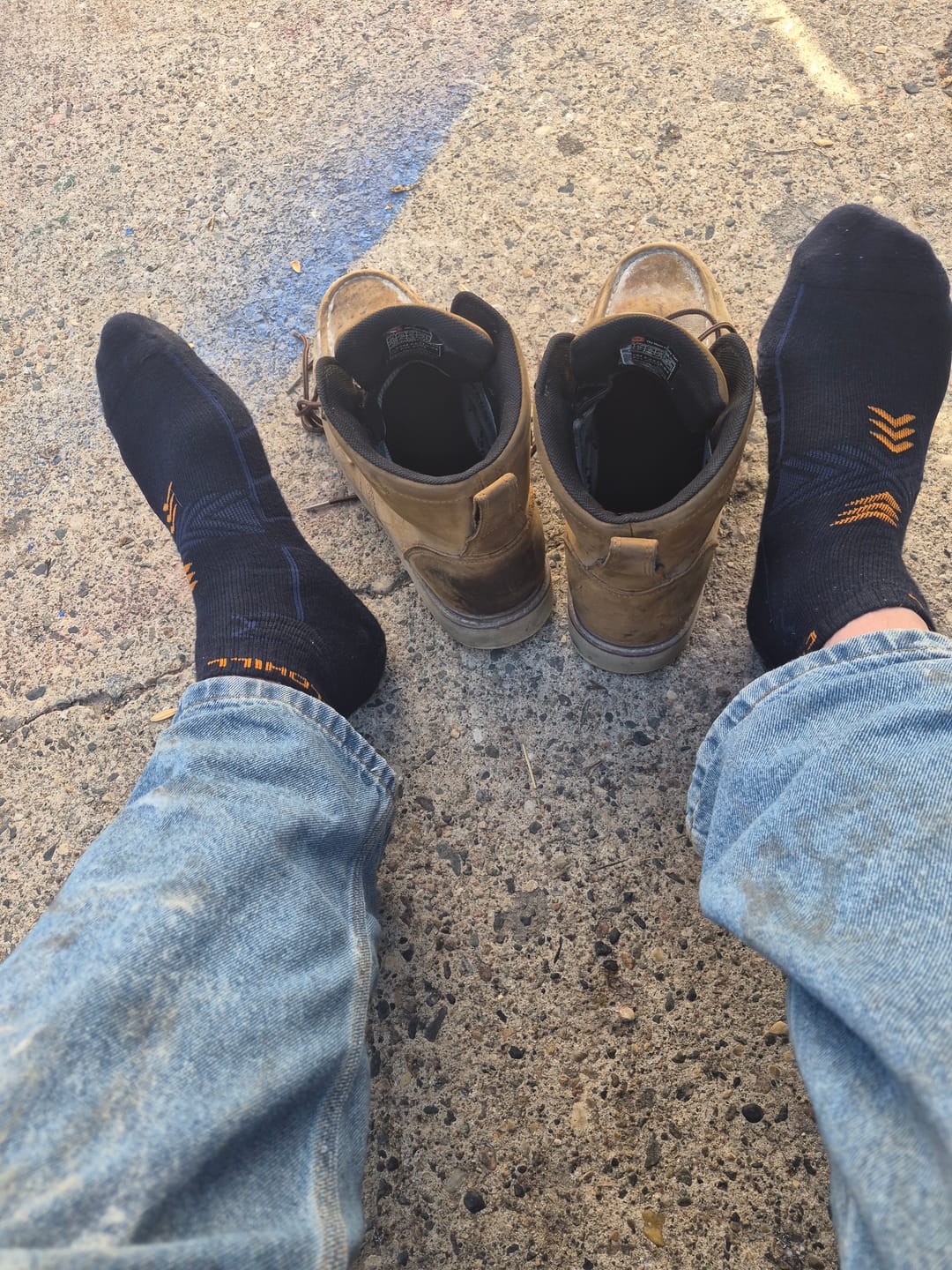 Customer photo review of Ankle Socks 8 Pairs