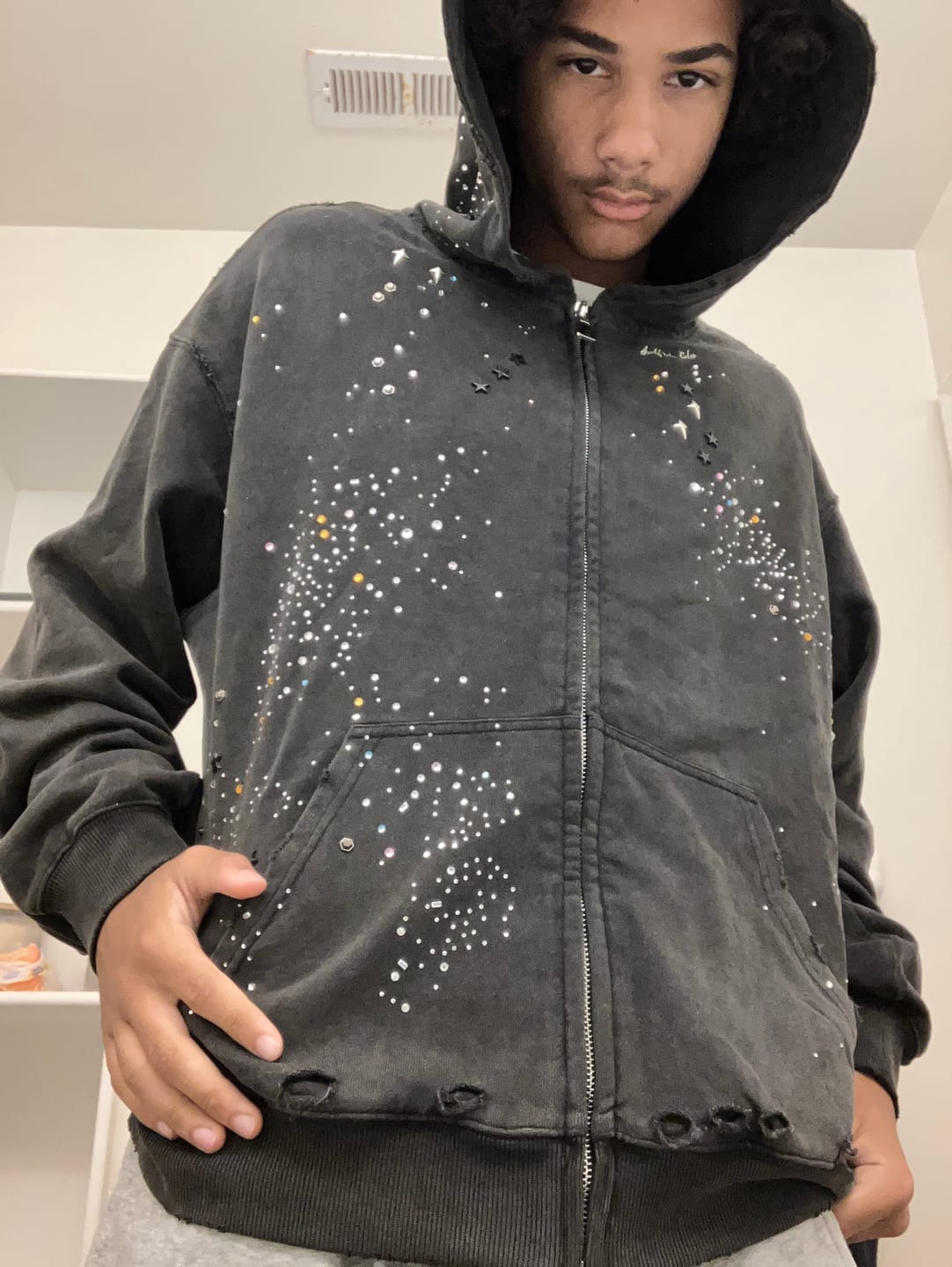 Customer photo review of Aelfric Eden Rhinestone Boxy Zip Up V302 Hoodie