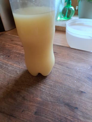 Kunde zeigt seinen selbstgemachten Ingwer-Trunk in einer Plastikflasche.