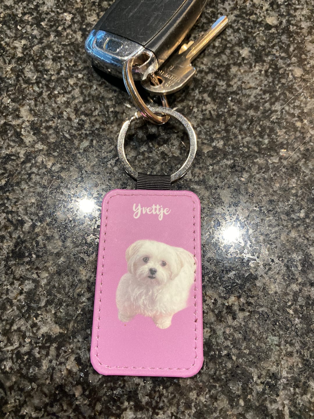 Customer photo review of Huisdier portret - Gepersonalliseerde sleutelhanger