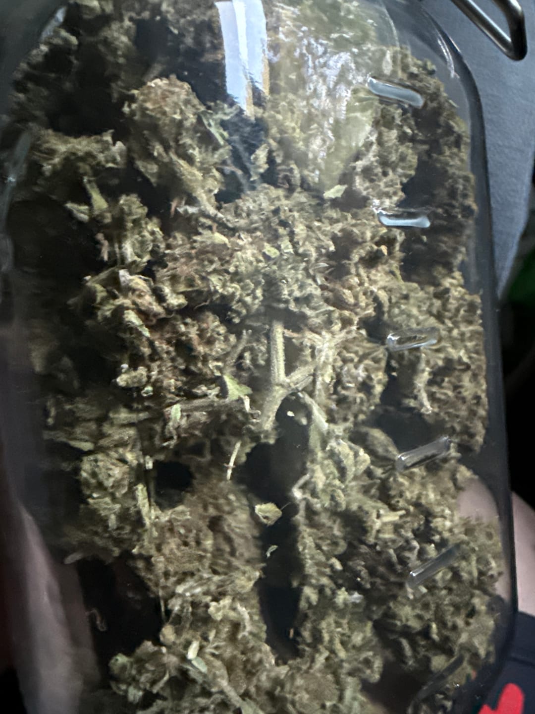 Customer photo review of Caramel Apple - Bulk - Hybrid