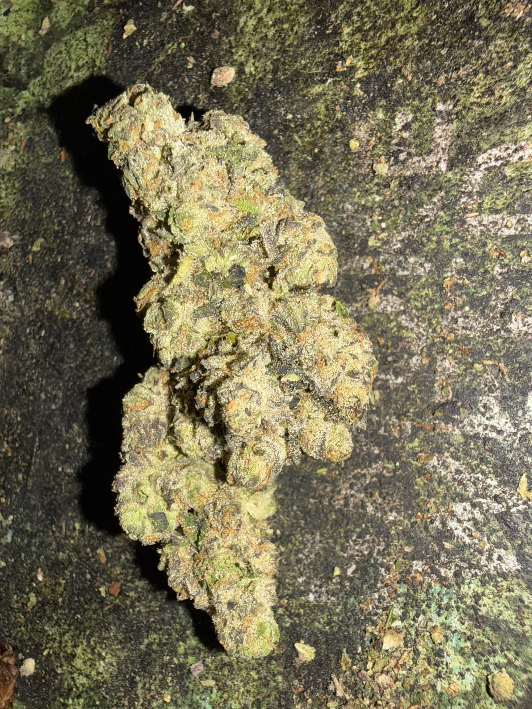 Customer photo review of Good Day - Velvet Cherries - 14 Grams - Indica
