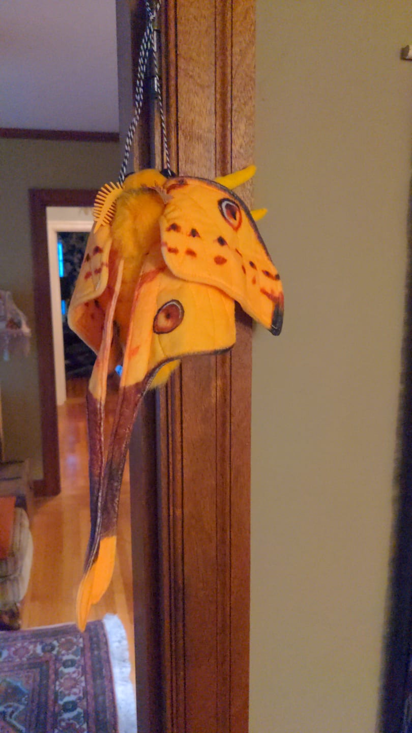 Customer photo review of Comet Moth Soft Stuffed Plush Toy