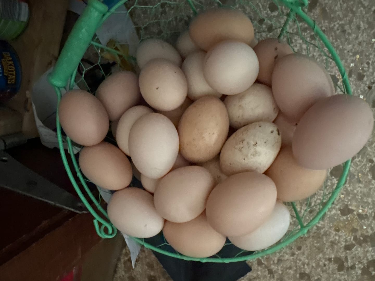 Customer photo review of Hen Harmony. The Daily All In One Supplement for Flock Resilience
