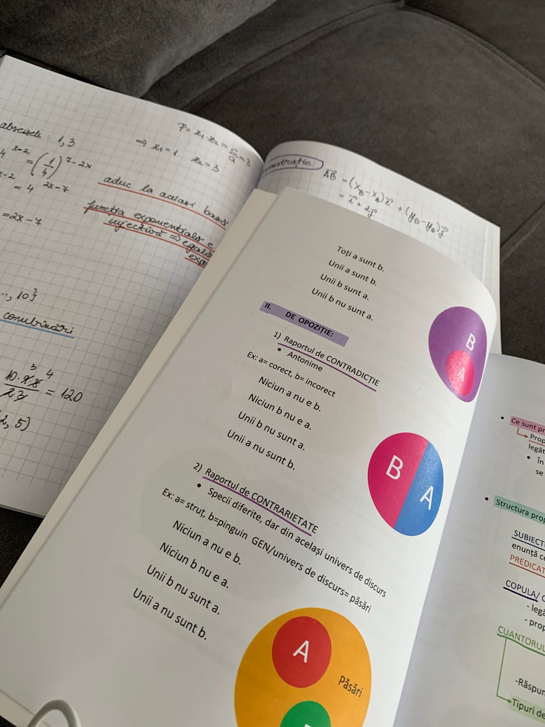 Customer photo review of Pachet Bacalaureat (Matematică + Logică) Bacademia