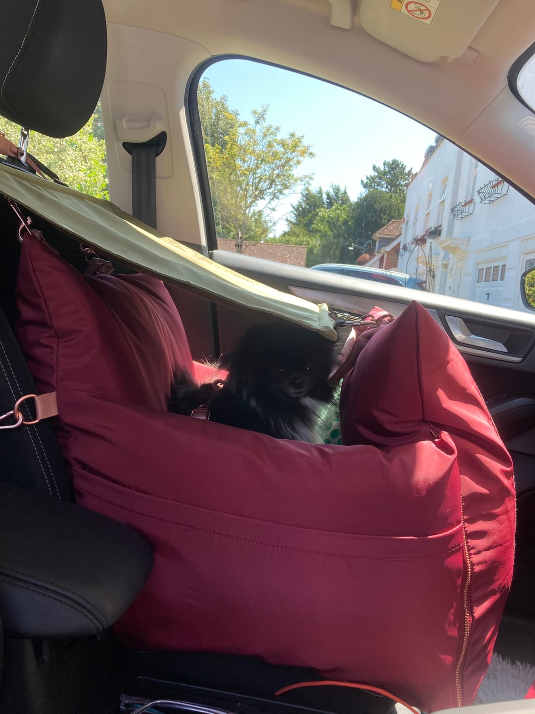 Customer photo review of Sunshade - Dog Pod Plus