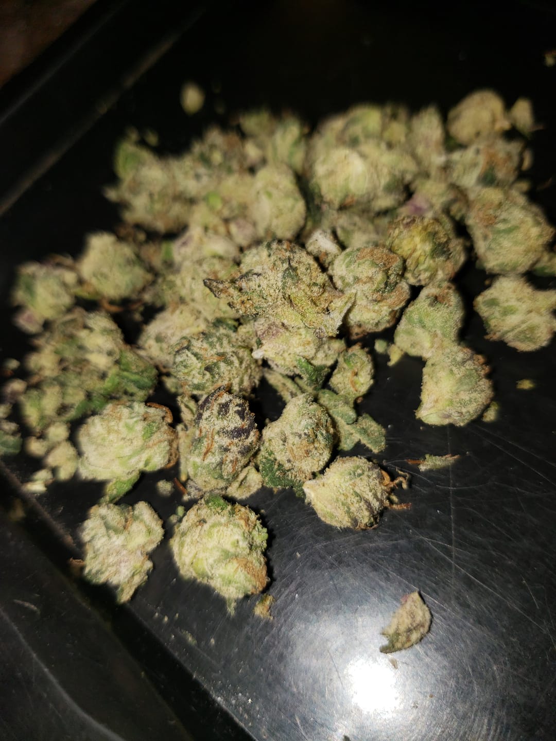 Customer photo review of Boutique Exotics - Yuzu Cherries - Minis - 14 Grams - Hybrid
