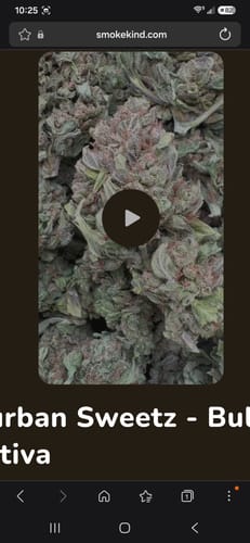 Lemon Cherry Biscotti - Bulk - Hybrid photo review