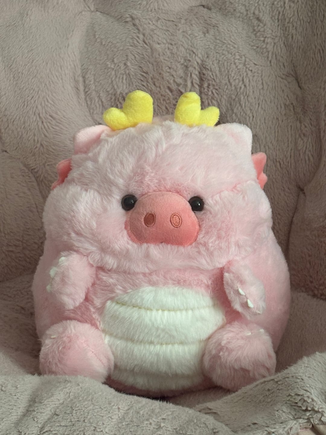 Customer photo review of Chubby Pastel Dragon Plushies
