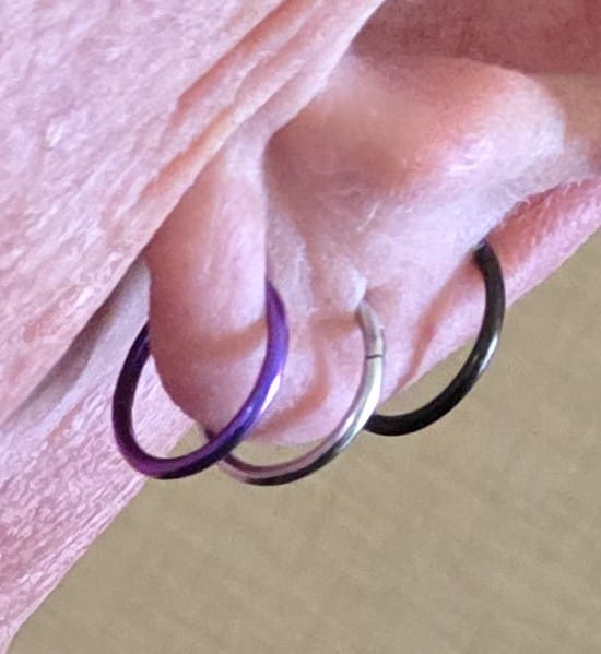 Customer photo review of Plain Hinged Titanium Clicker Segment Ring 14g, 16g, 18g, 20g