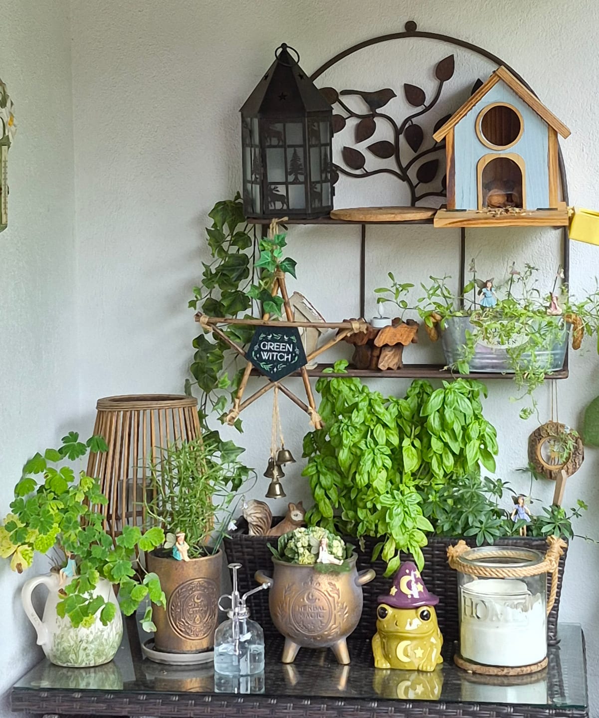 Customer photo review of Herbal Magic Kessel-Blumentopf – Terrakotta Pflanzenkessel in Bronzeoptik