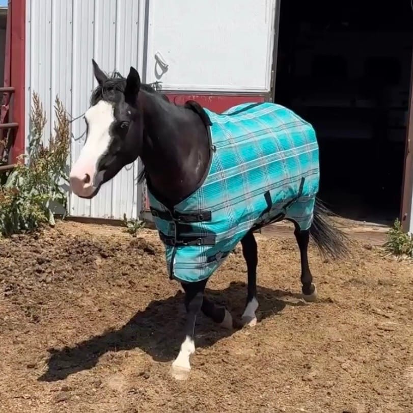Customer photo review of Field Coat
