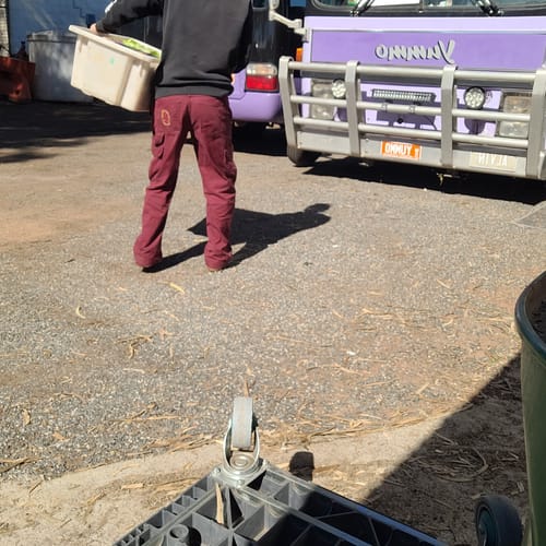 Customer from behind wearing the burgundy Mid Rise Cargo Pants while carrying a container outdoors.