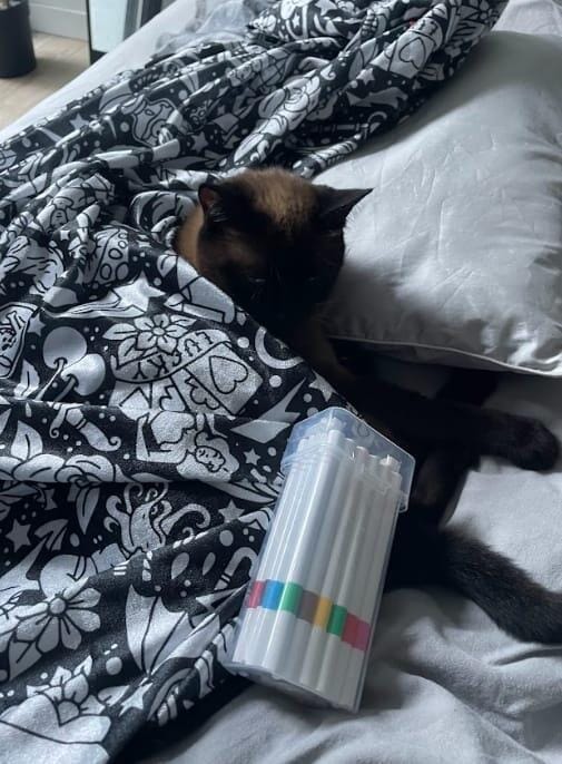 Customer photo review of DIY Drawing Blanket with 24 Colors Markers, Doodle Your Own Blankets, Customizable Washable Paint & Play Blankets for Adults