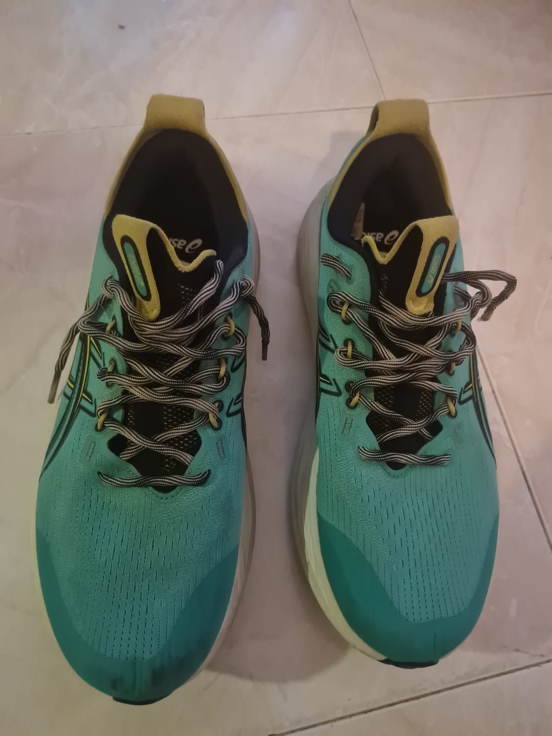 Customer photo review of Asics Gel Nimbus 28 TR Hombre Nature Bathing
