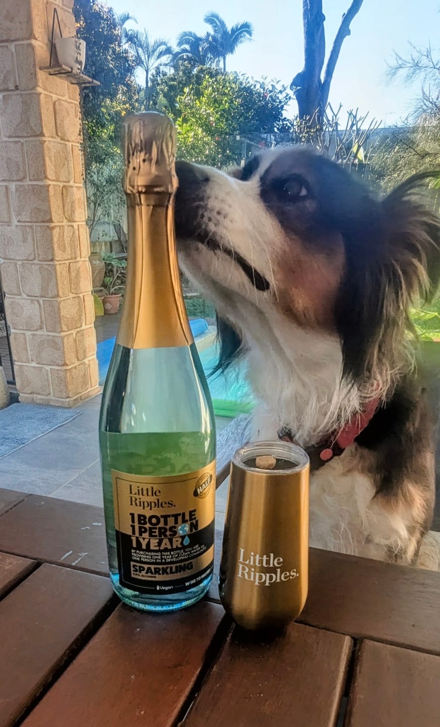 Customer photo review of Sampler - 4 Pack