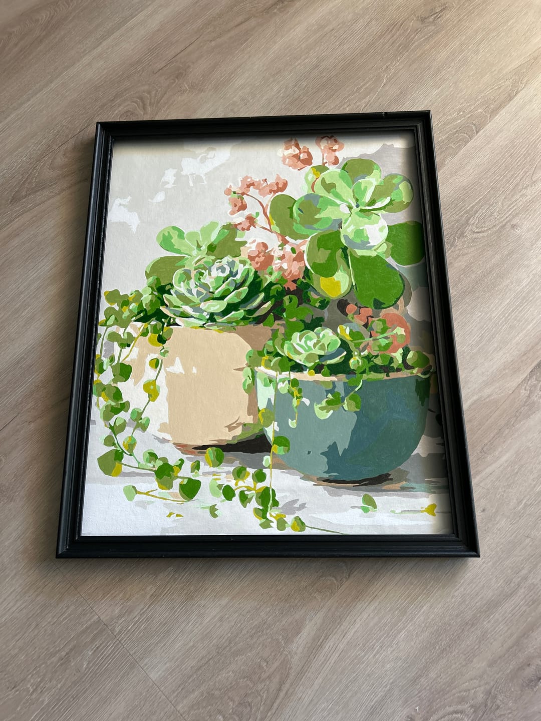 Customer photo review of Lentesucculenten