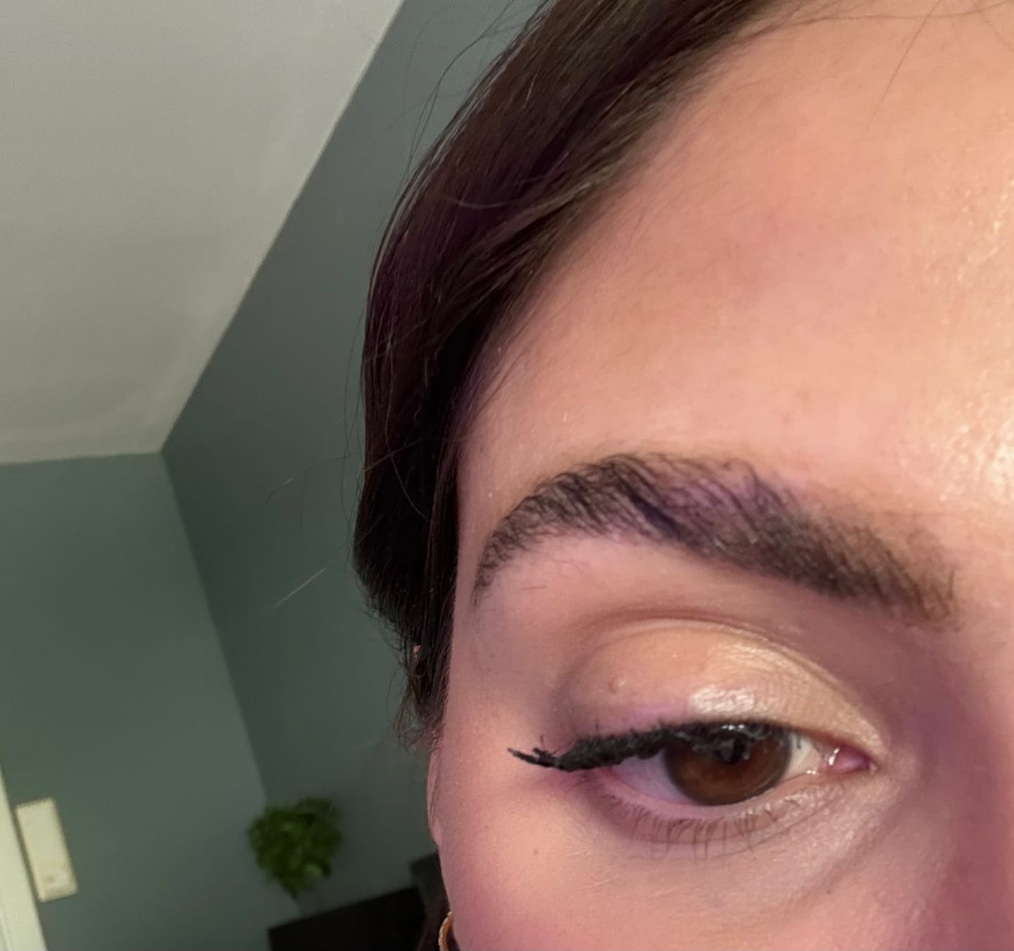 Customer photo review of Refectocil Vippefarge / Brynfarge