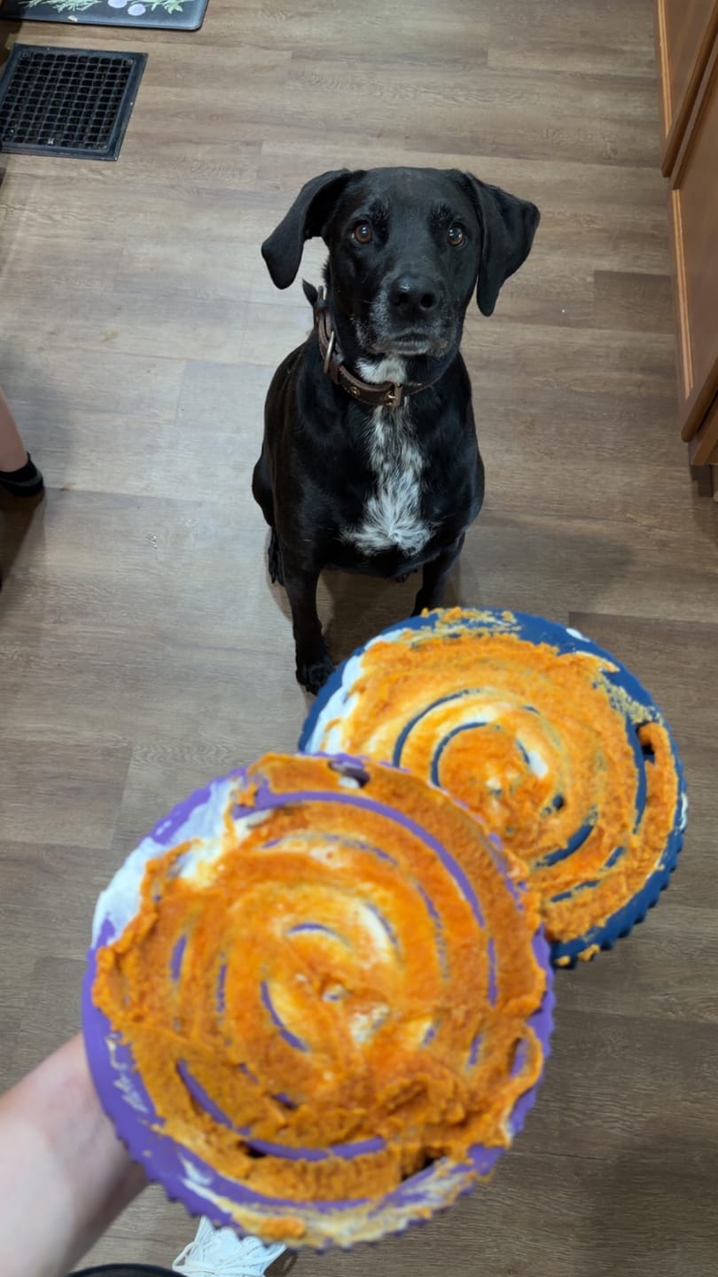 Customer photo review of FreezSwirl - Durable Stimulation Toy