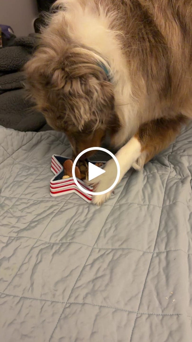 Customer video review of Handmade Brush FreezStar – Limited Independence Day Edition
