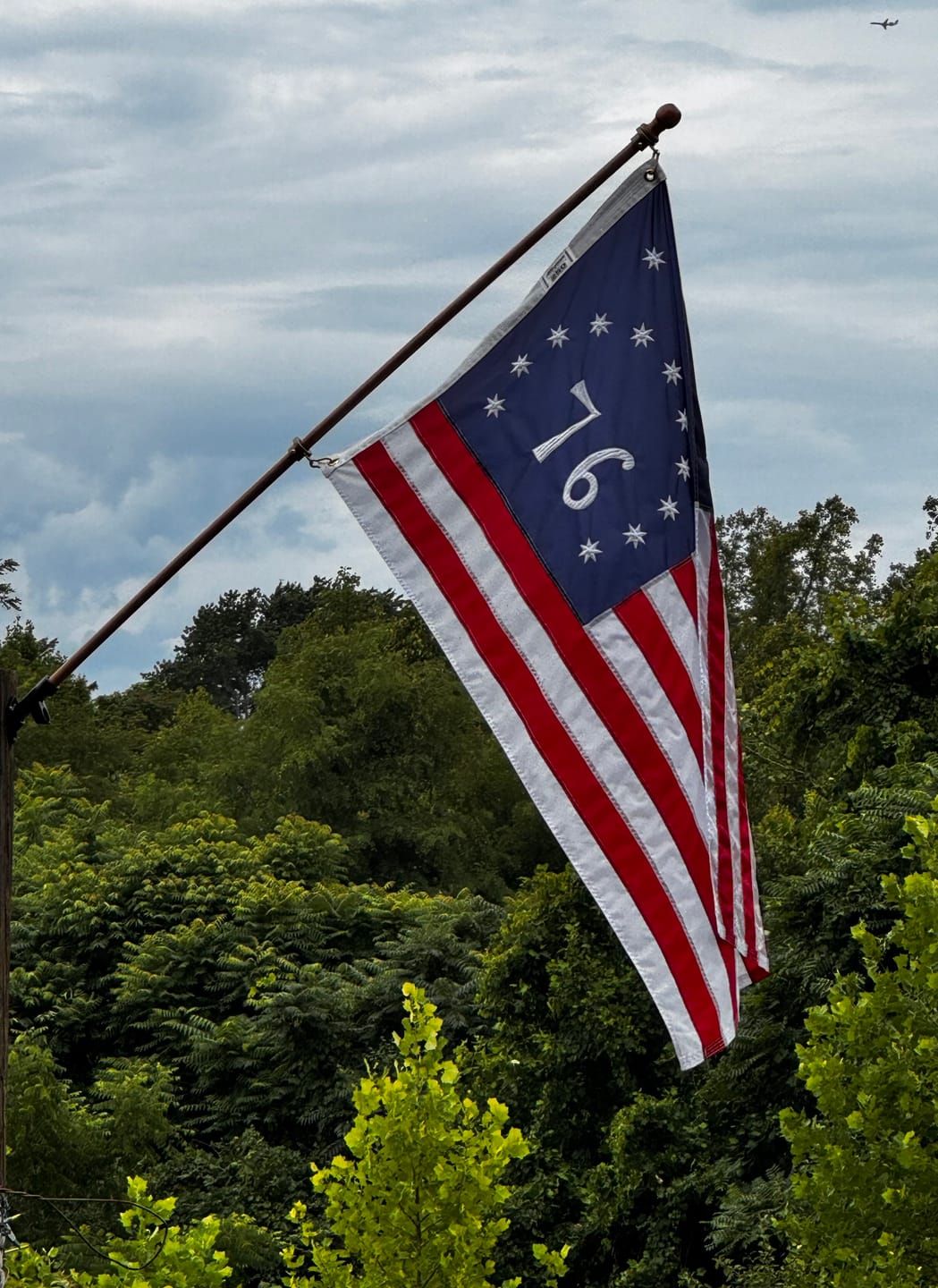Customer photo review of 3' x 5' Bennington Flag Set