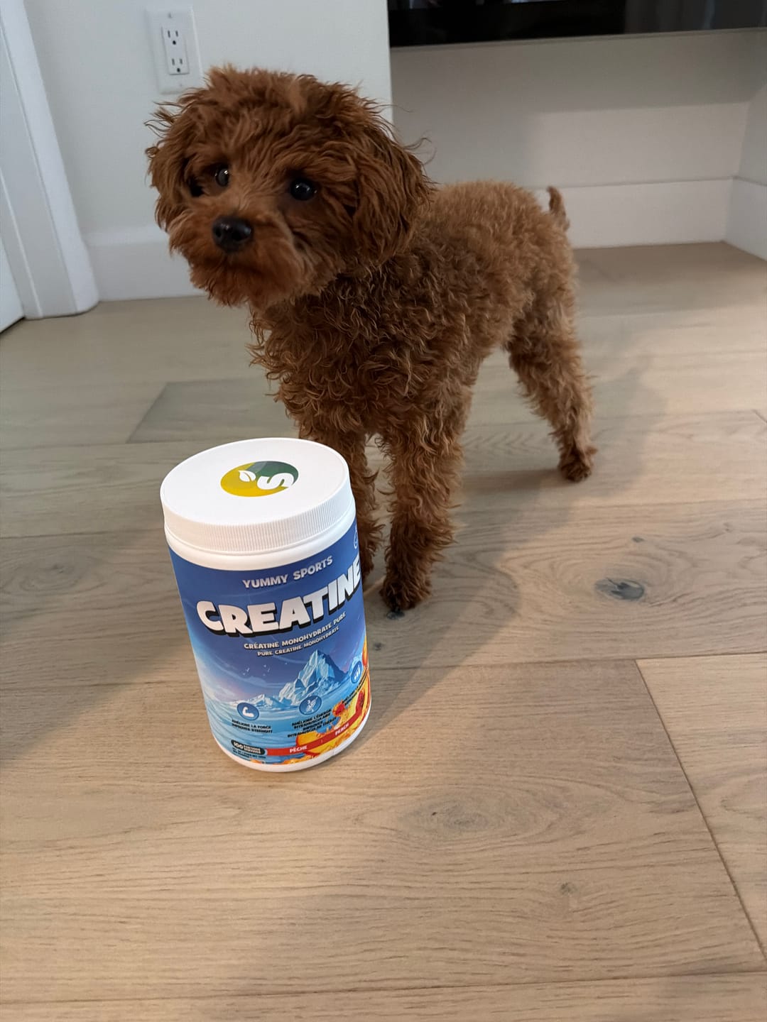 Customer photo review of Nova Pharma - Greens & Berries - 315g