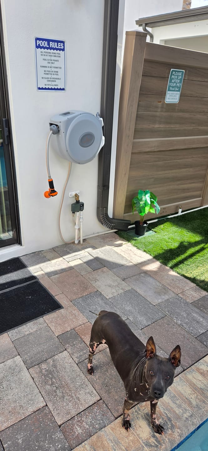 Customer photo review of Retractable Garden Hose Reel 65ft-155ft