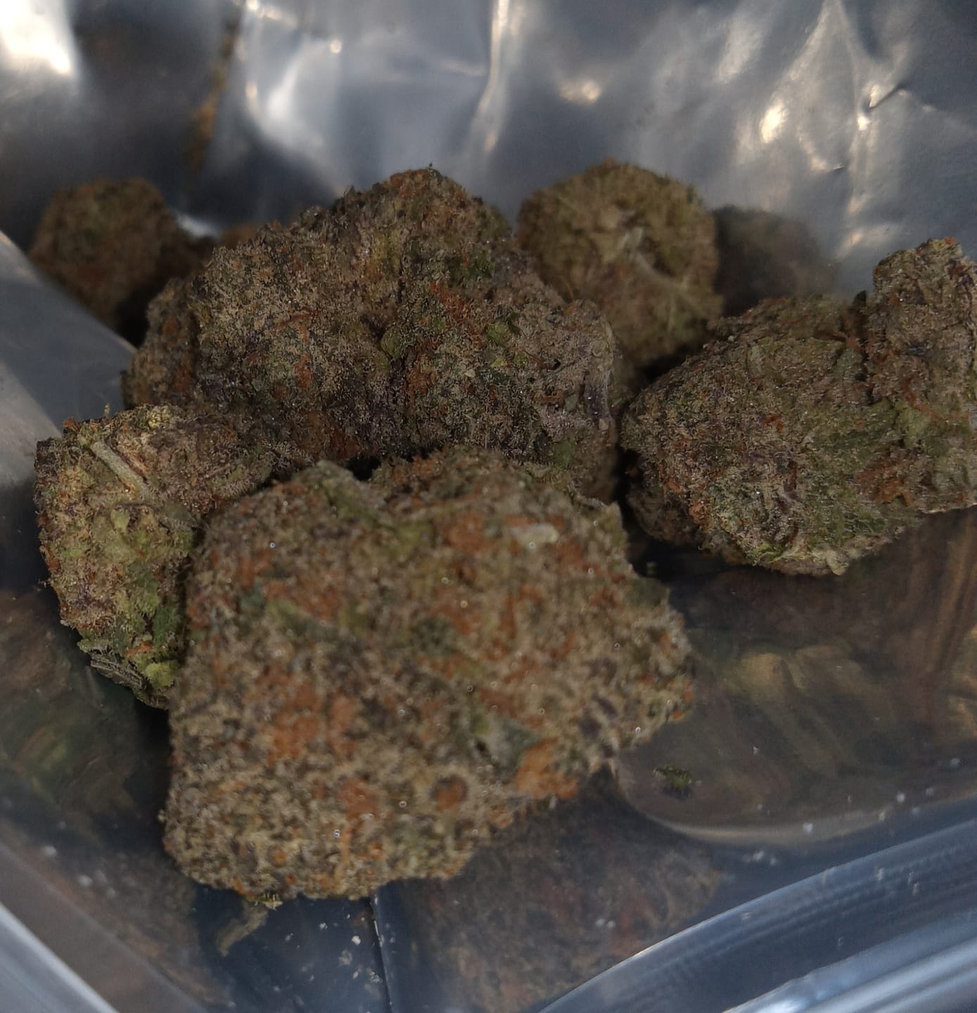 Customer photo review of Double Runtz - Greenhouse