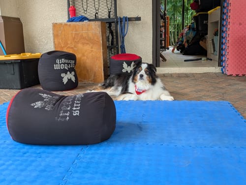 Customer photo review of Strongman Sandbag