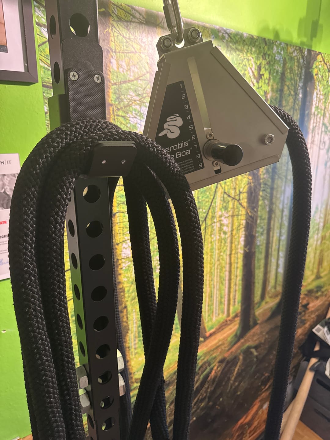 Customer photo review of Battle Boa - Rope Resistance Trainer