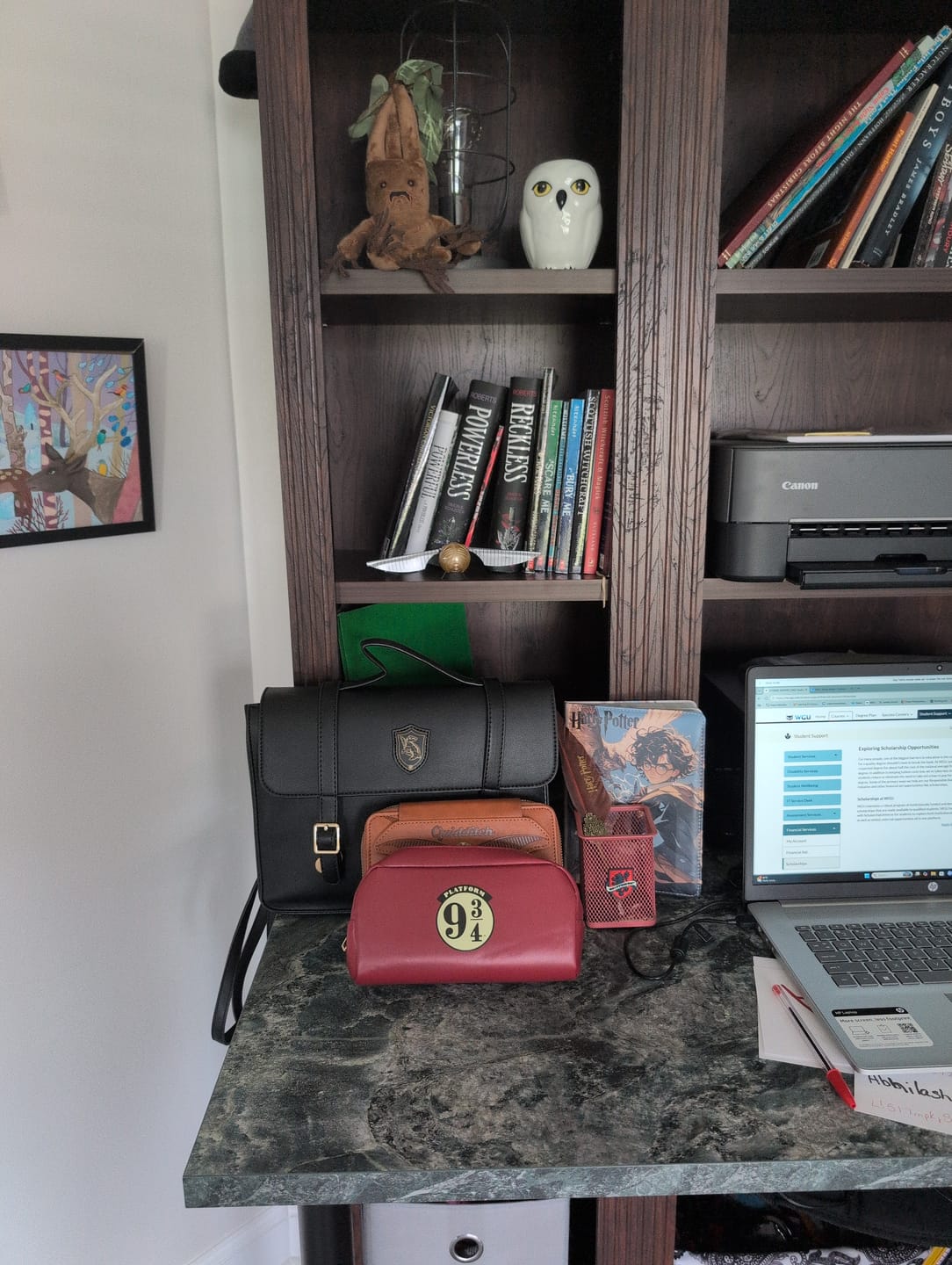 Customer photo review of HP Premium Mystery Capsule Gacha
