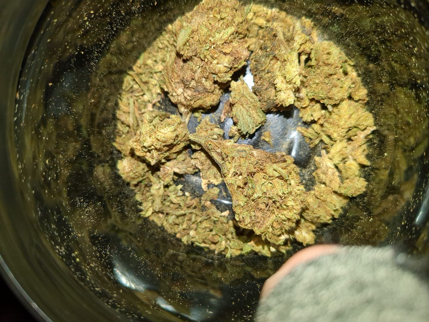 Customer photo review of GMO - 14 Grams - Indica