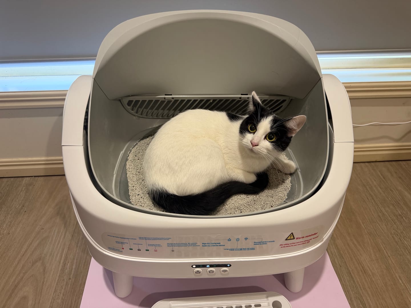 Customer photo review of Petbuds™ Open One App Monitoring Self-Cleaning Litter Box with Open Design