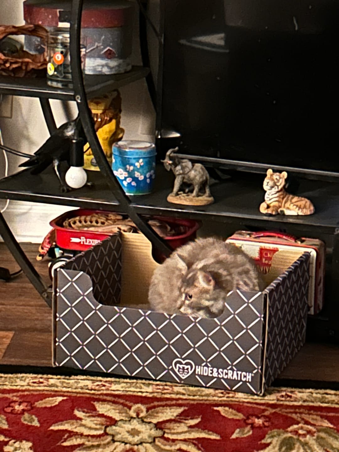 Customer photo review of Hide & Scratch Extra-Large Cat Scratcher Box