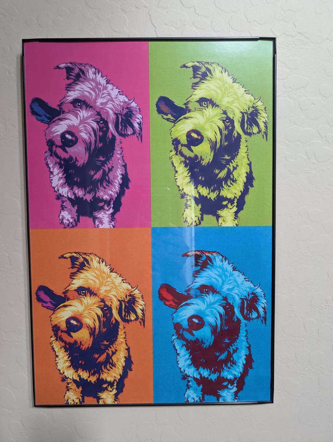 Customer photo review of Color Squares - Personalized Poster