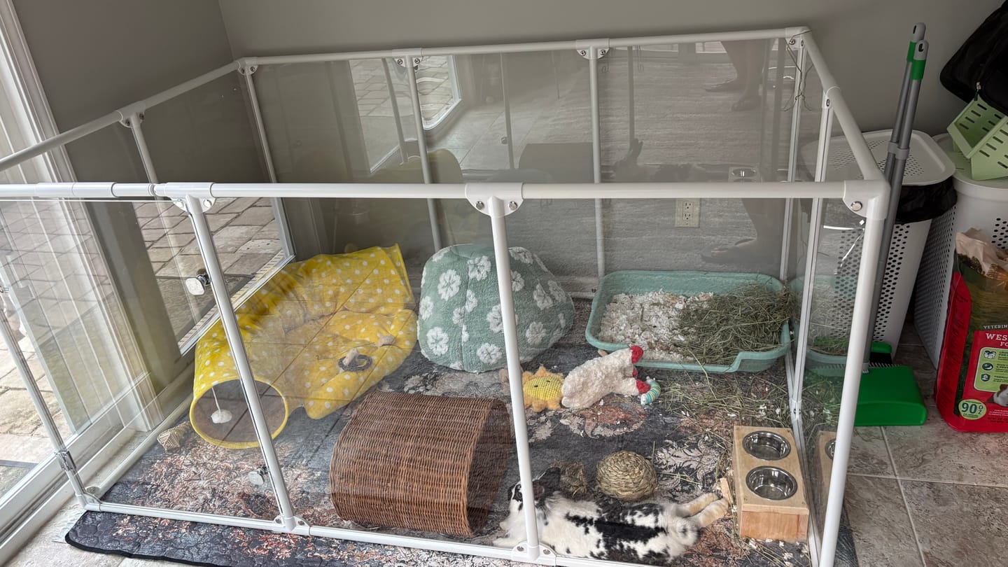 Customer photo review of 36" Tall Large Lucidium Pet Pen
