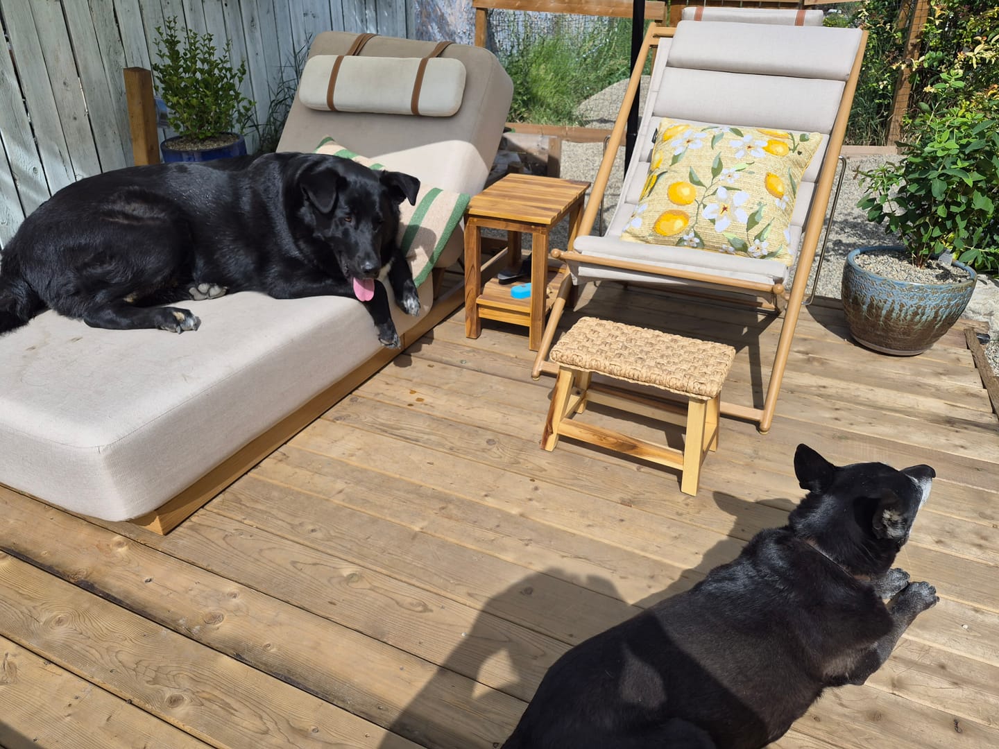 Customer photo review of Solaris Outdoor Sling Chair