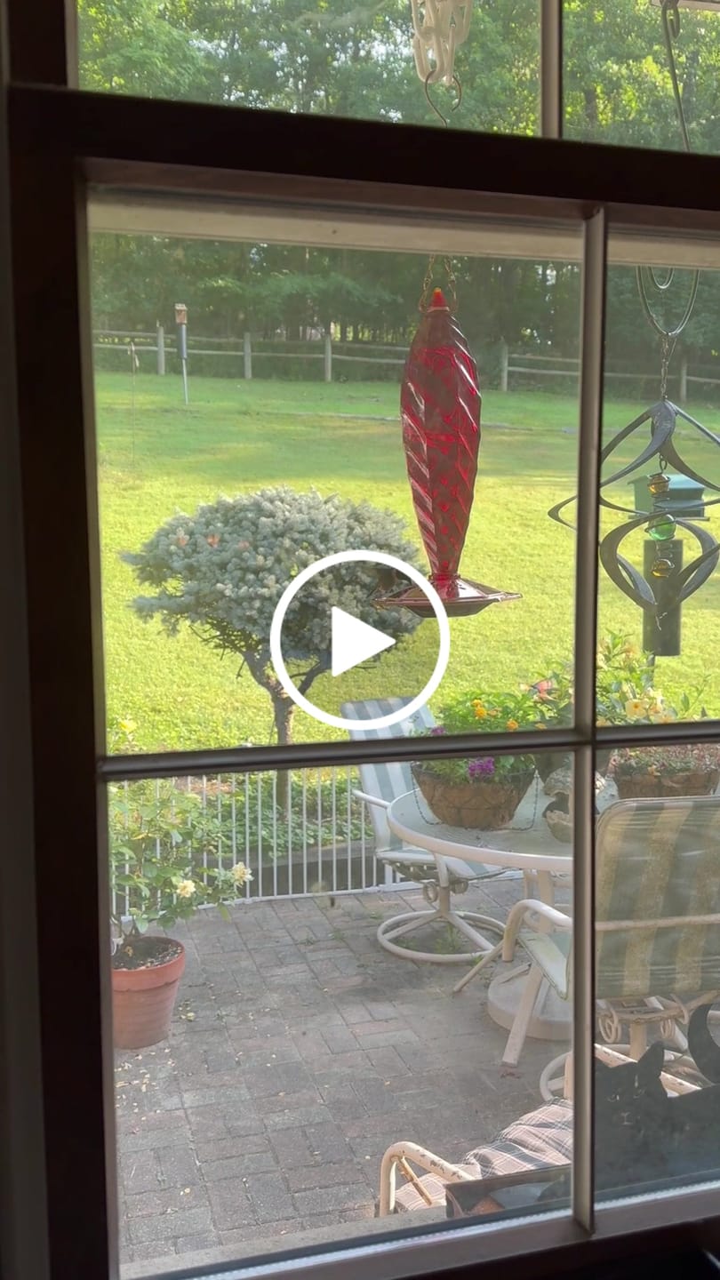 Customer video review of Cut Glass Ruby Hummingbird Feeder
