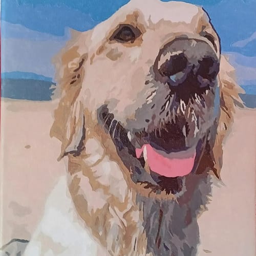 Customer's finished Custom Paint By Numbers pet portrait showing a happy golden retriever on a beach.