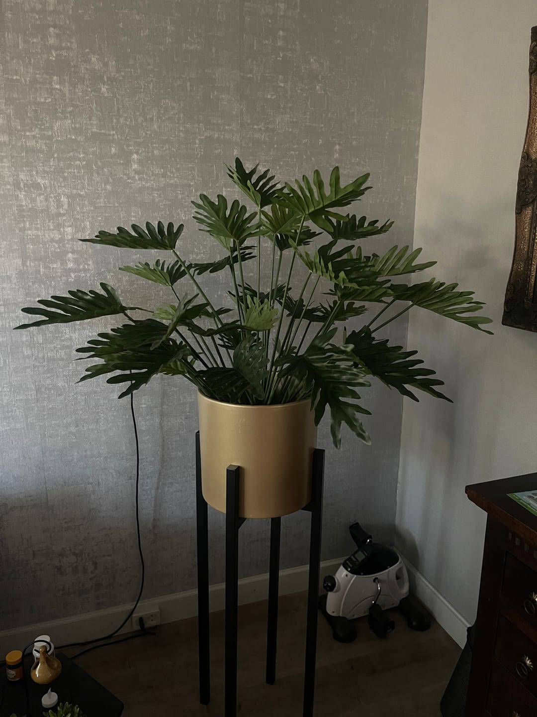 Customer photo review of Philodendron Kunstplant 75cm