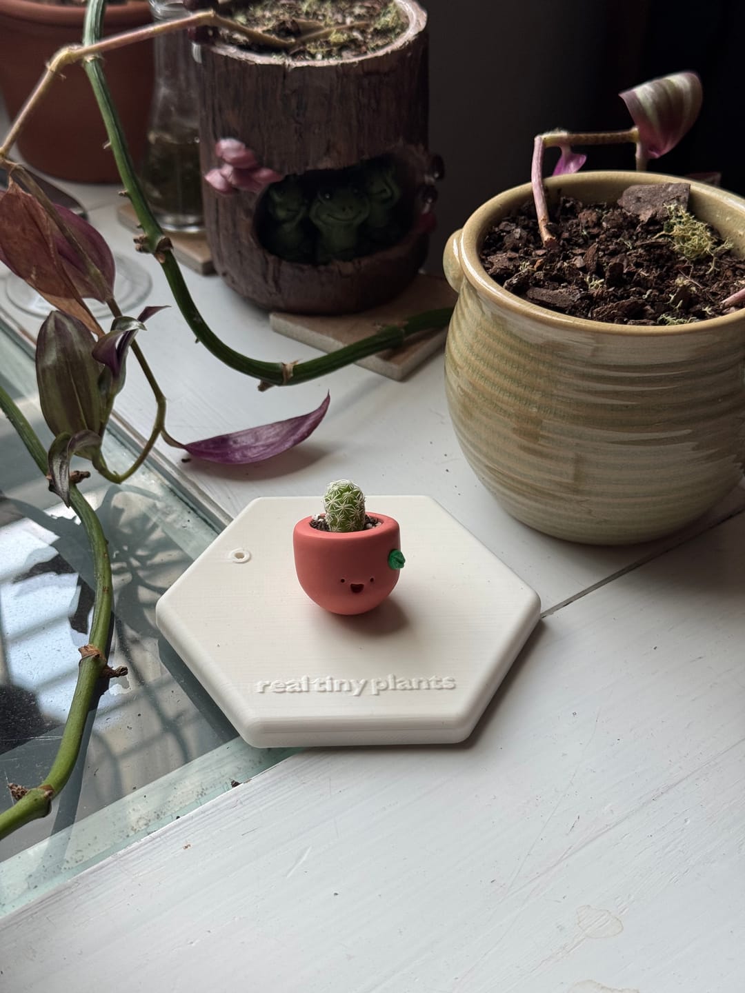 Customer photo review of Sweet Clementine
