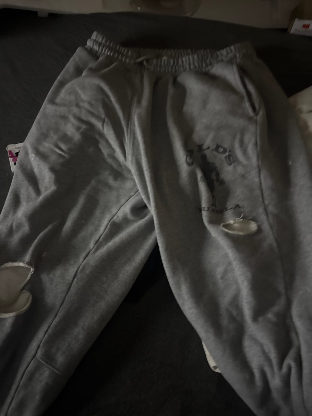Customer photo review of 2054 - Gold's Iron Legacy Layered Joggers