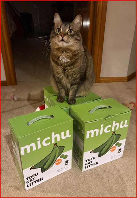 Customer photo review of Michu Tofu Cat Litter Gen3 - Natural Clumping Tofu-Based Formula - Value Box 5 kg