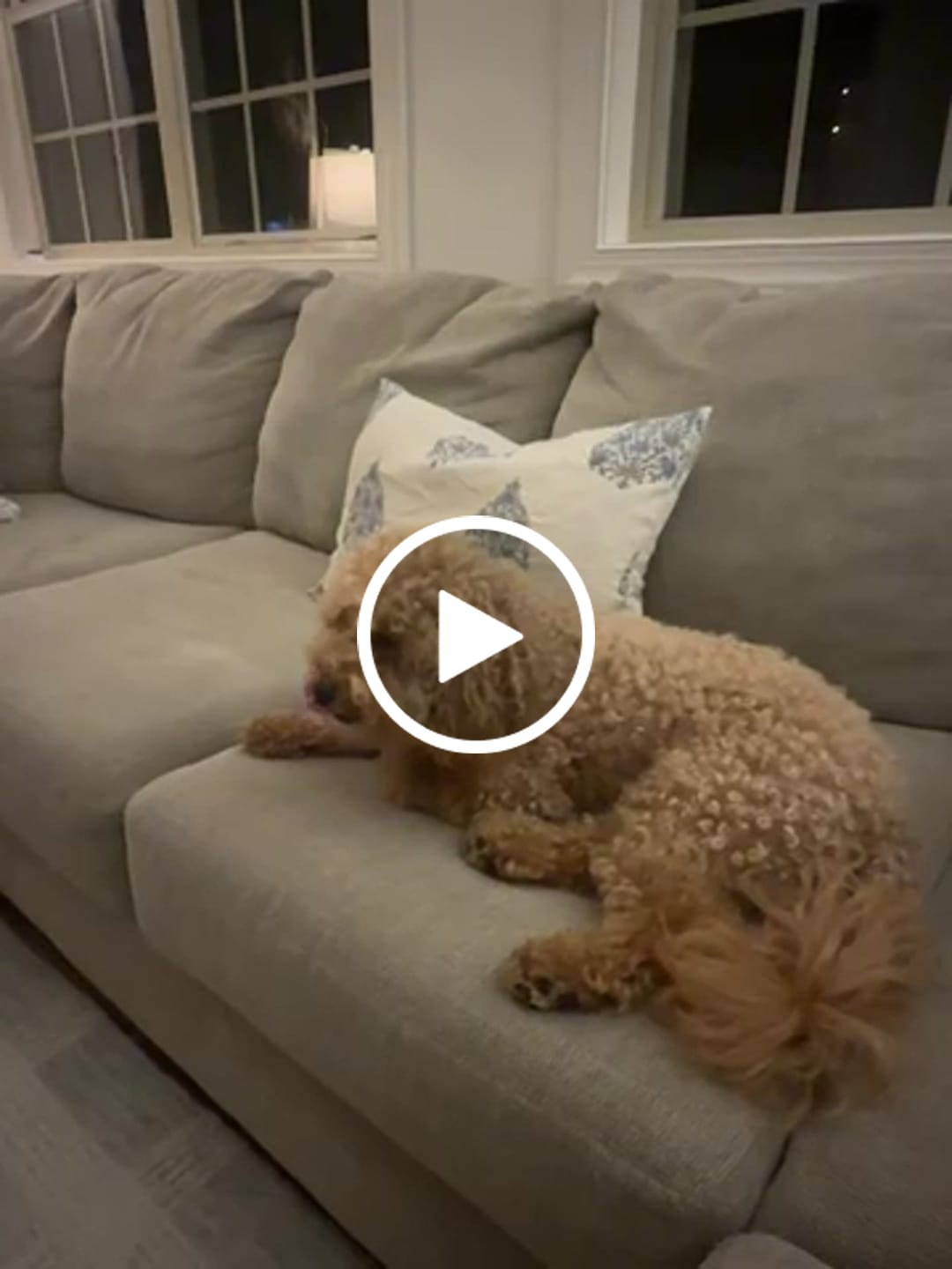 Customer video review of Blue Floral Block Print