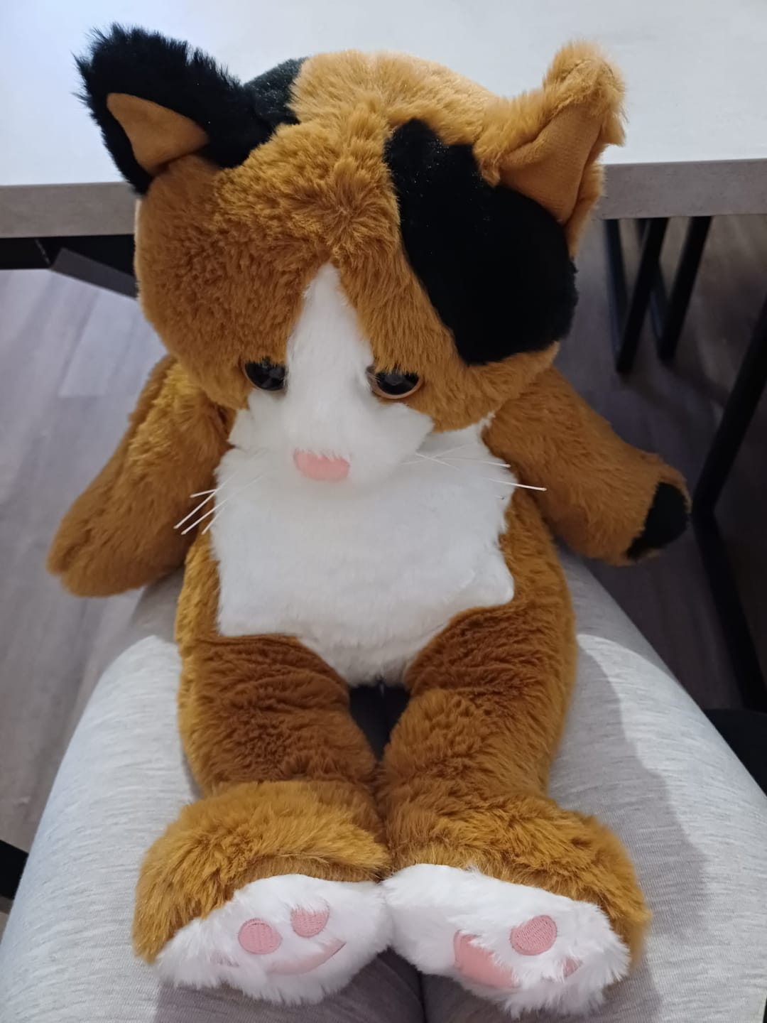 Customer photo review of Verzwaringsknuffel Kat 2,2 kg + Gratis Pittenzakje