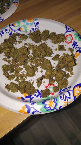 Blueberry Muffin - 28 Grams - Indica photo review