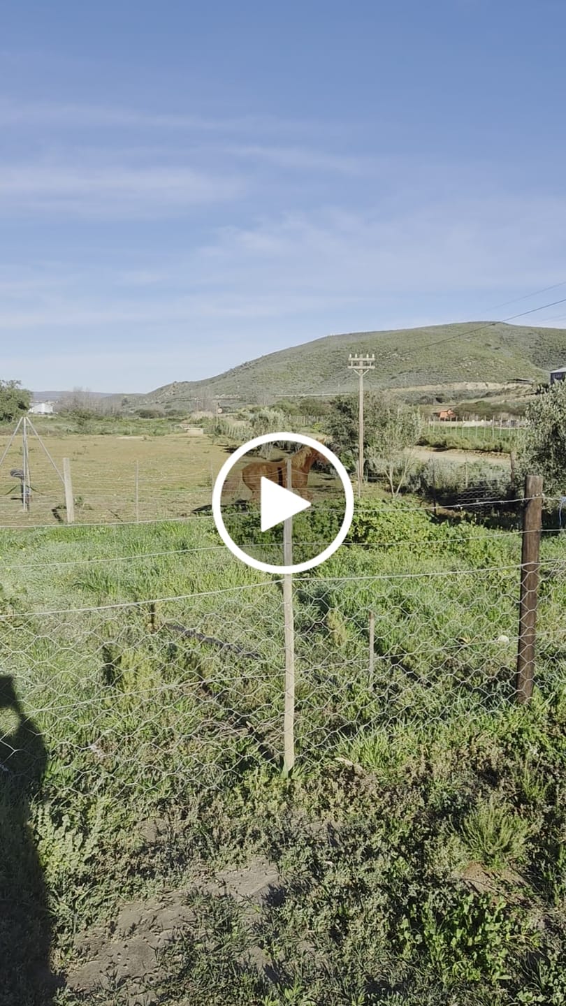Customer video review of Equimin Trophy (Supplement For Horses & Game)