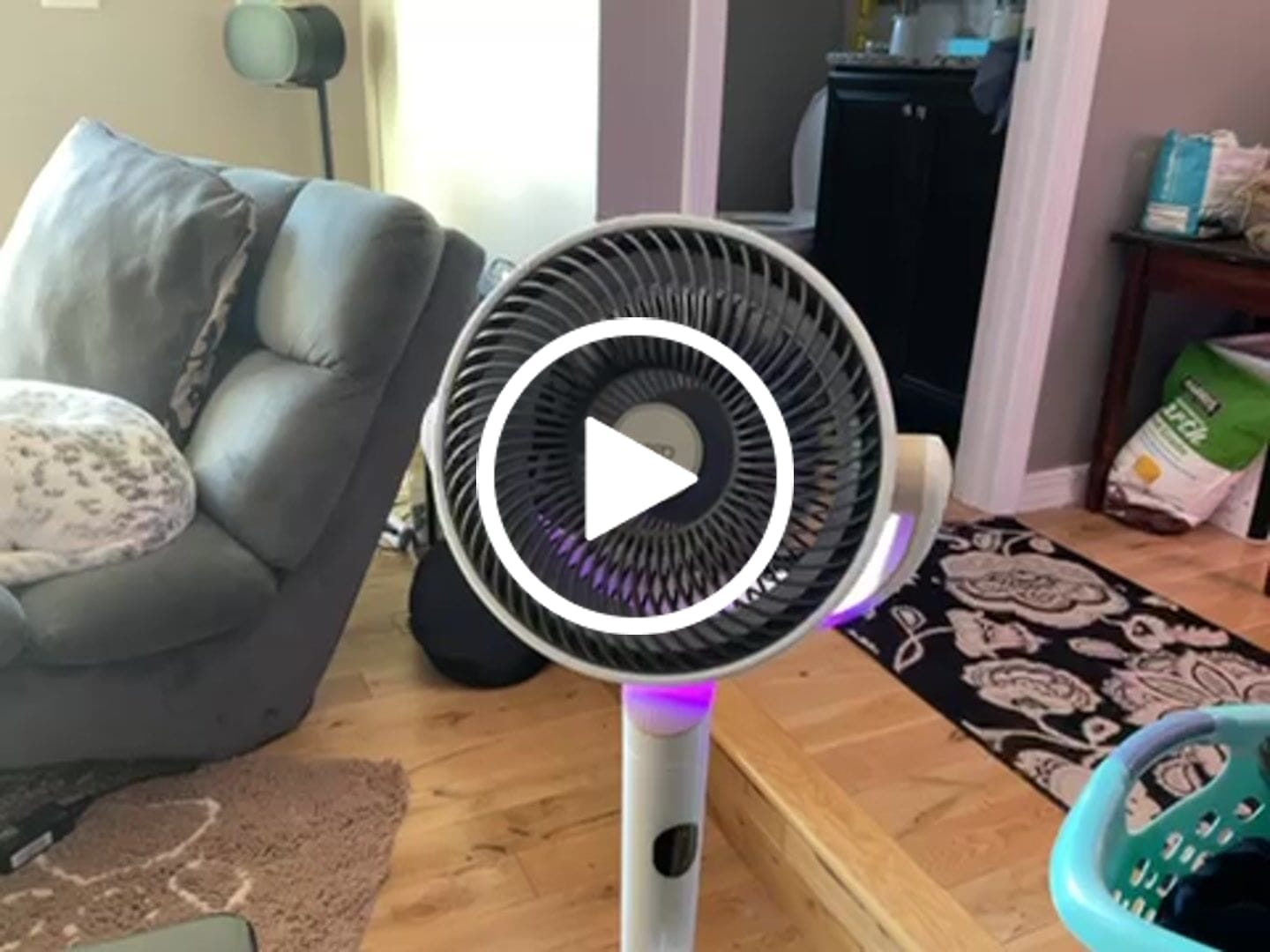 Customer video review of TurboPoly™ Fan 508S
