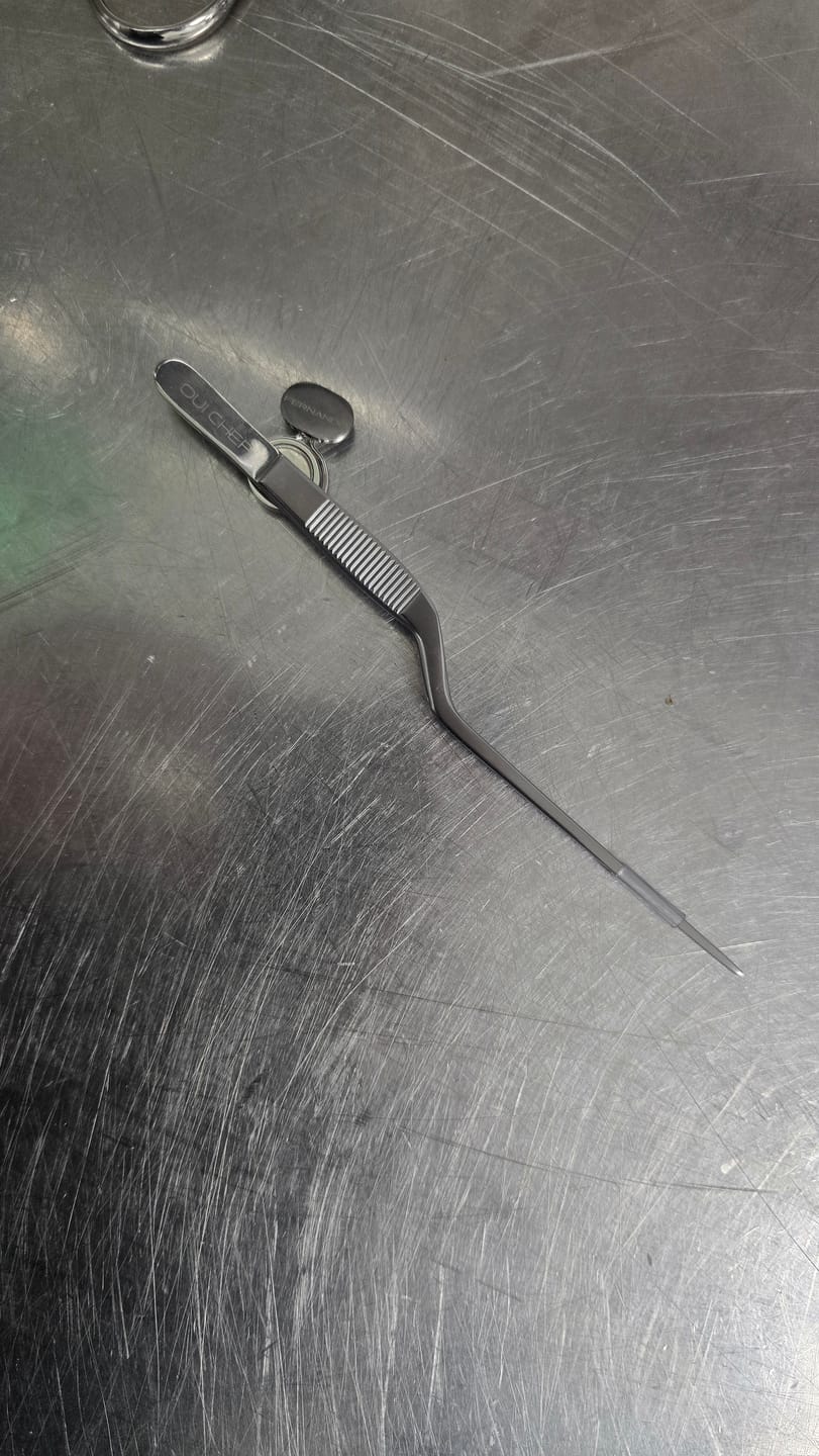 Customer photo review of 17cm/6.9" Offset SuperFine Tweezers