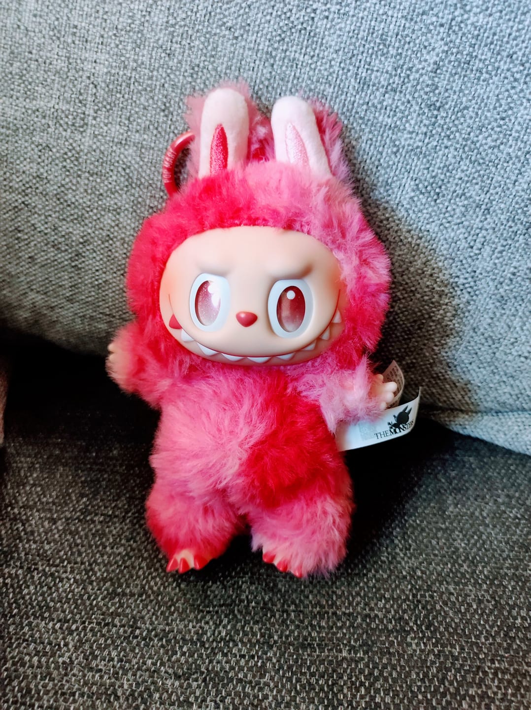 Customer photo review of Pop Mart Labubu The Monsters Big into Energy Series Vinyl Plush Pendant Sealed Case Blind Box